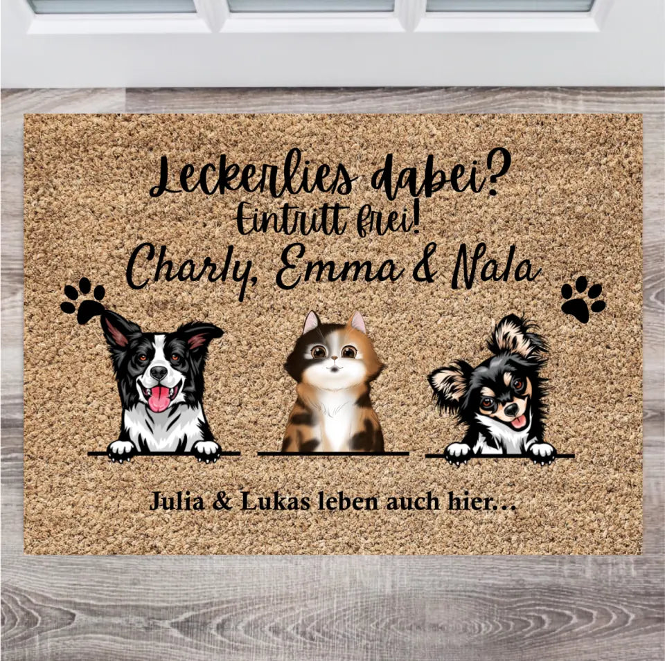Des friandises sur vous ? Entrée libre - Paillasson personnalisé avec animaux domestiques