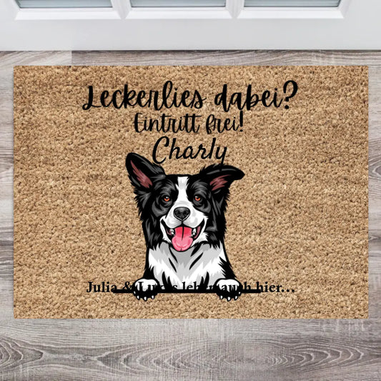 Des friandises sur vous ? Entrée libre - Paillasson personnalisé avec animaux domestiques