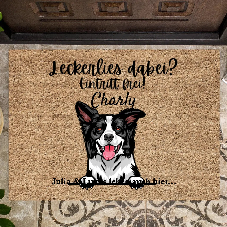 Des friandises sur vous ? Entrée libre - Paillasson personnalisé avec animaux domestiques