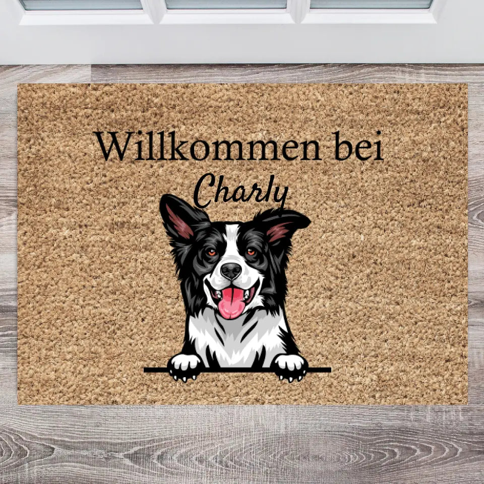 Paillasson personnalisé pour animaux de compagnie chien et chat (1-4 animaux)