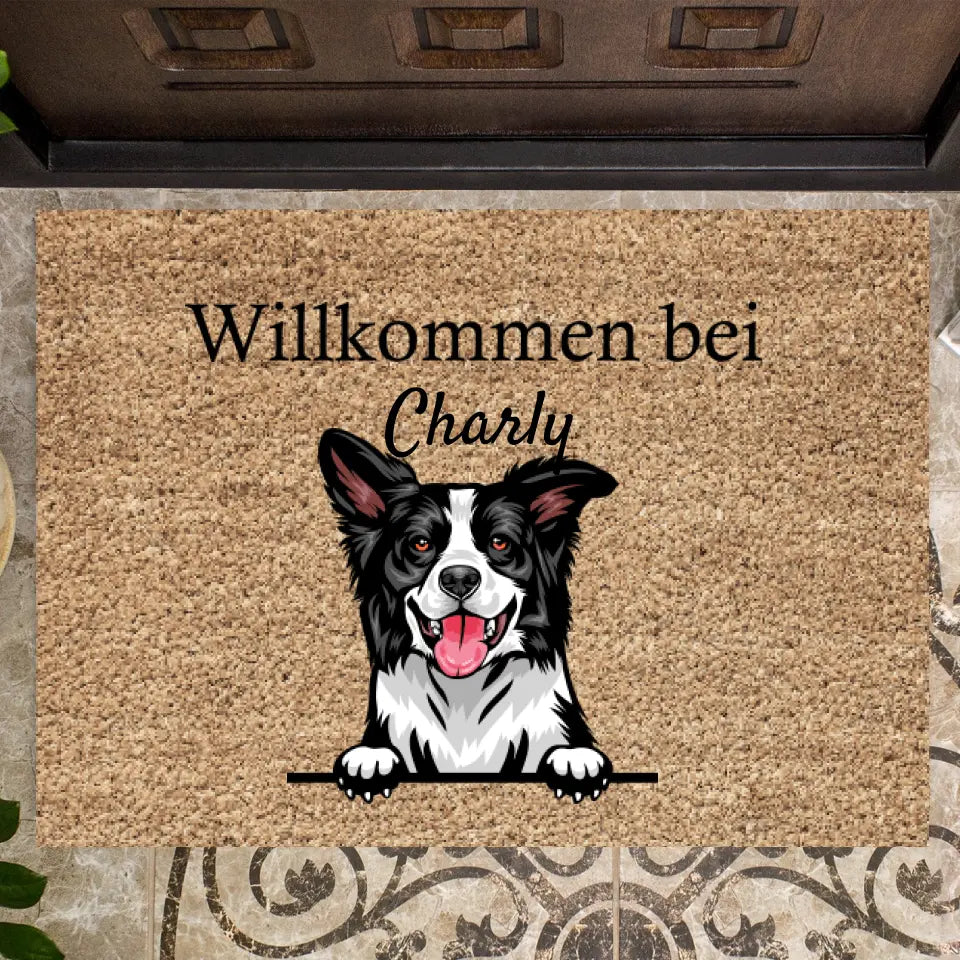 Paillasson personnalisé pour animaux de compagnie chien et chat (1-4 animaux)