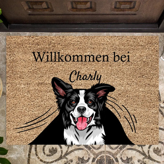 Gepersonaliseerde huisdierdeurmat hond en kat "Onder het gordijn" (1-4 huisdieren)