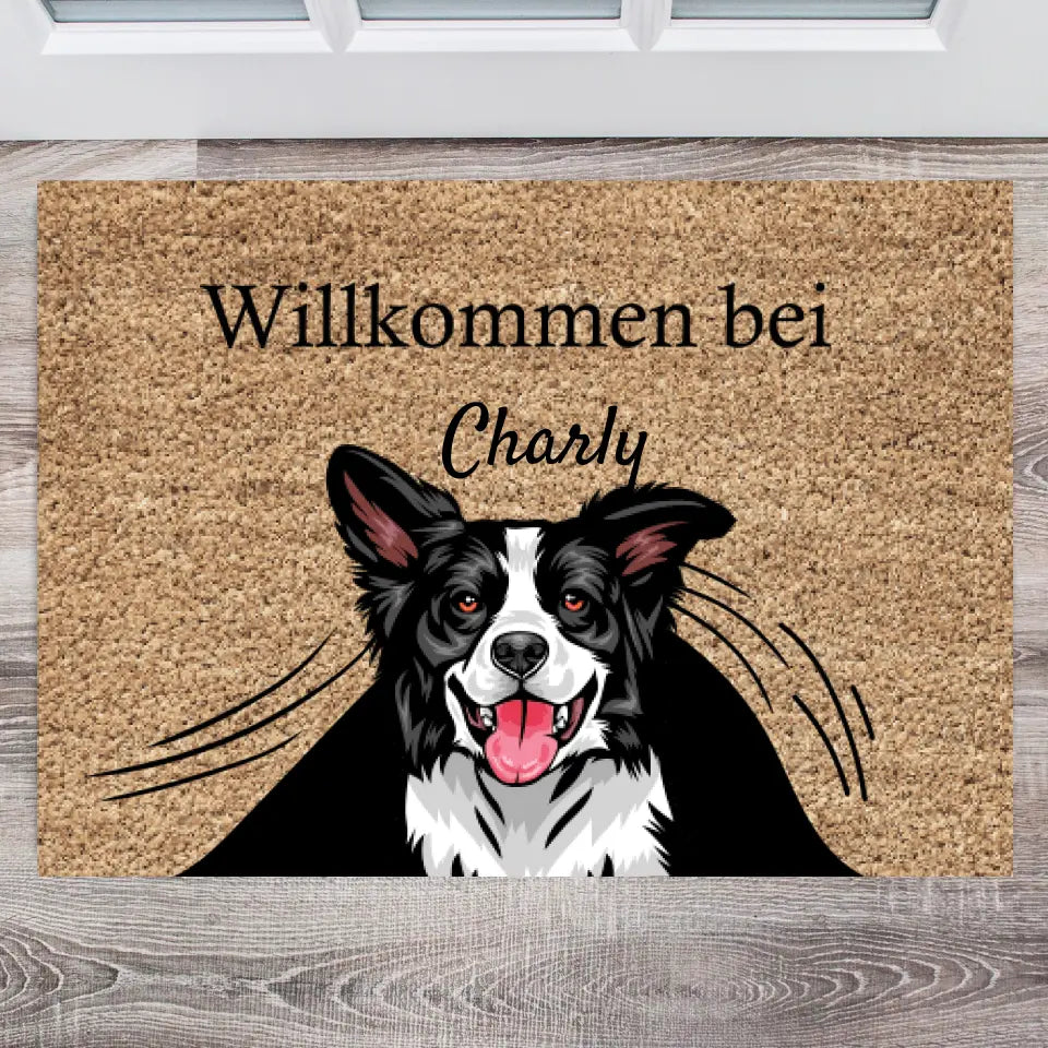 Gepersonaliseerde huisdierdeurmat hond en kat "Onder het gordijn" (1-4 huisdieren)