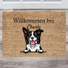 Afbeelding in Gallery-weergave laden, Personalisierte Haustier-Fußmatte Hund &amp; Katze (1-4 Haustiere)
